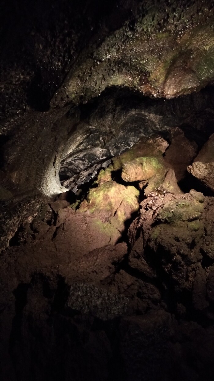 【途牛首发】 【我的小长假】***寻找青木原树海***