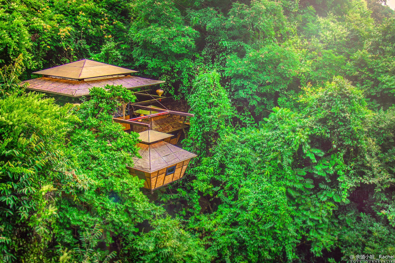 【首發】住溫泉樹屋聽泉水叮咚 在九州驛站享返璞歸真的棲息之旅