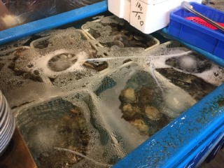 矶丸水产（秋叶原店）