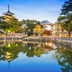 Nara, Japan at Sarusawa Pond.