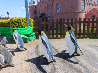 尼克斯海洋公园