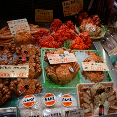New Chitose, Hokkaido, Japan-December 21, 2017: Fresh Japanese hair crab and various raw fresh seafood on sale in the fresh market at New Chitose International Airport, Japan 
