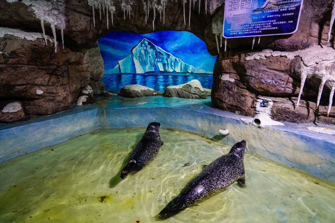 南昌亲子游,吃吃喝喝游逛海底水世界