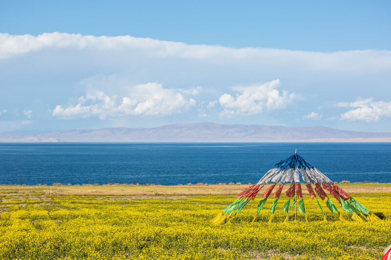 青海省门源油菜花跟团出发城市:上海跟团出发城市:全国6,油菜花地拍摄