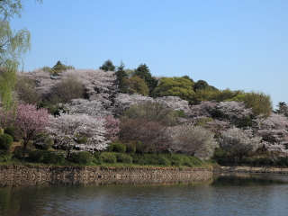 県立三ツ池公園
