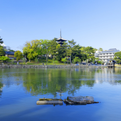Nara, Japan at Sarusawa Pond at day