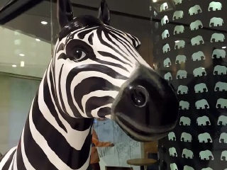 ZOO COFFEE（恒隆广场店）