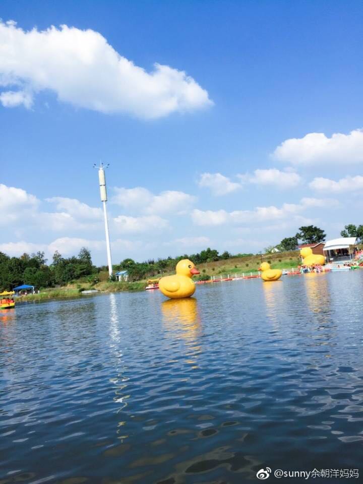 武汉有哪些地方适合带小孩老人玩的