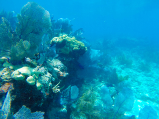 基韦斯特岛水族馆