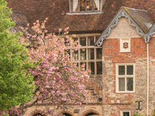 索尔兹伯里博物馆