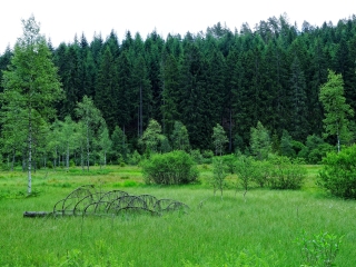 米里茨国家公园