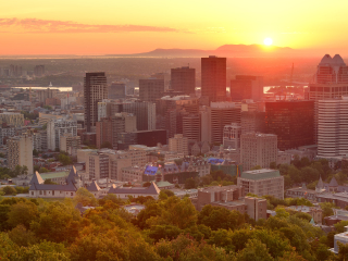 蒙特利尔皇家山高地