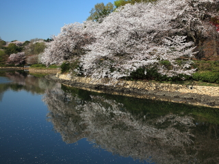 県立三ツ池公園