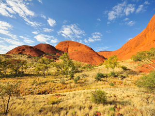 艾丽丝泉沙漠公园