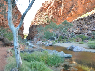 艾丽丝泉沙漠公园