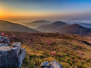 无等山道立公园