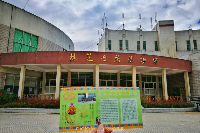 林芝公交车路线图图片