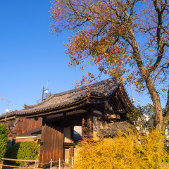 Gangoji temple is the first buddhism temple in Japan, located in Nara