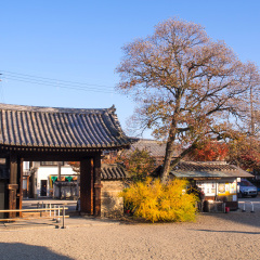 Gangoji temple is the first buddhism temple in Japan, located in Nara