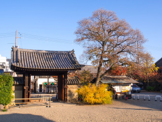 元兴寺