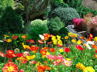 卡金顿小人国公园