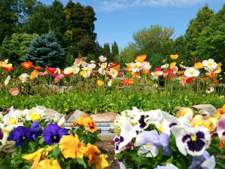 卡金顿小人国公园