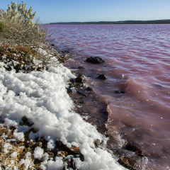 Pink Lake, Hutt Lagoon, Port Gregory, Western Australia