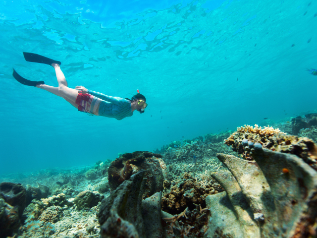 特惠尊享 上海香港帕劳四飞6晚7天 含上海香港