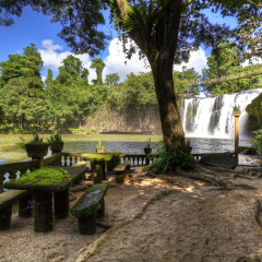 castle in tropical forest