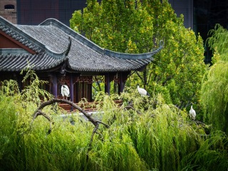 中国友谊花园