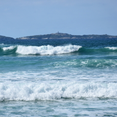 Montague Island is a continental island contained within the protected nature reserve Montague Island Nature Reserve.