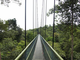 麦里芝蓄水池公园