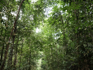 麦里芝自然观光步道