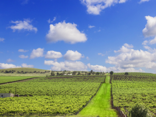 克莱尔山谷美酒产区