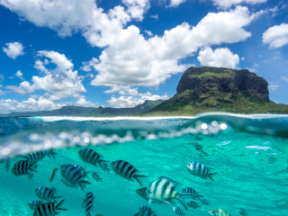 毛里求斯gdp_一个让马尔代夫都自惭形秽的国家,对中国友好到让日本人眼红