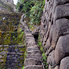 Steep trail leading to the Huayna Picchu mountain, Peru