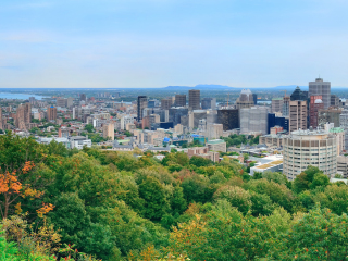 蒙特利尔皇家山高地