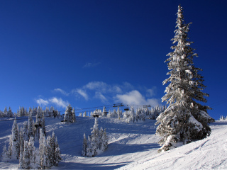 银星滑雪度假村
