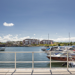 collingwood marina view in summer
