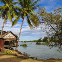 Si-Phan-Don (Four Thousand Islands) is a group of islands in the Mekong River in Southern Laos. 