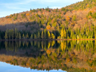 蒙特朗布朗国家公园