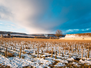 勃艮第葡萄酒博物馆