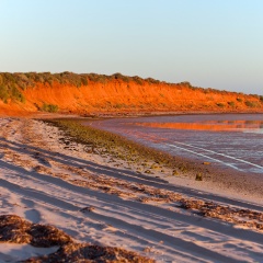 Early morning light on beach in Francois Peron National Park