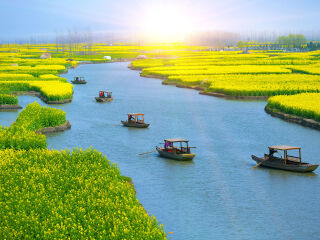 兴化千垛菜花风景区