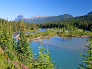 勒韦斯托克山国家公园