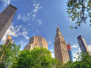 麦迪逊广场花园