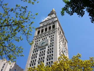 麦迪逊广场花园