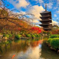 Wooden pagoda of Toji temple, Kyoto Japan