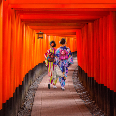 Women in traditional japanese kimonos walking at Fushimi Inari Shrine in Kyoto, Japan