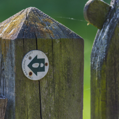 National Trust trail marker, Osterley Park, Isleworth, Middlesex, England